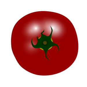 【FREE Vector】Red Large Tomato Illustration (Top View / Stem Included / Summer Vegetable) (Outline / No Outline) (Commercial Use OK / PNG Transparent)