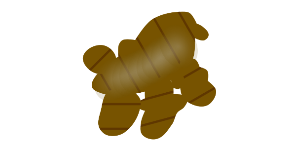 【FREE Vector】Turmeric Rhizome Illustration (Curcuma / Ukon / Root Vegetable) (Outline / No Outline) (Commercial Use OK / PNG Transparent)