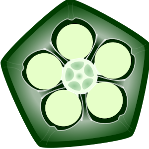 【フリー素材】五角オクラの断面図のイラスト（ネバネバ/構造図/夏野菜/線なし・黒縁）(商用利用可・透過PNG)