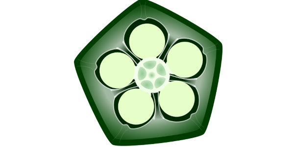 【フリー素材】五角オクラの断面図のイラスト（ネバネバ/構造図/夏野菜/線なし・黒縁）(商用利用可・透過PNG)