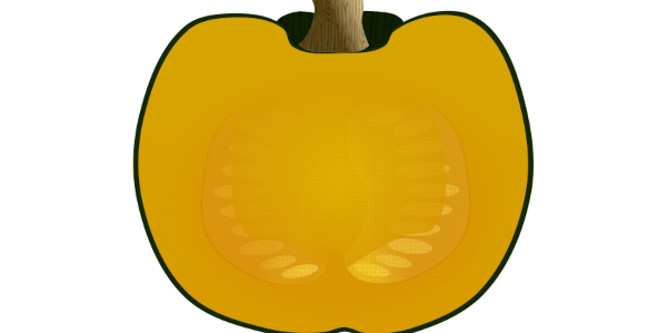 【フリー素材】西洋かぼちゃ（黒皮栗かぼちゃ）の断面図のイラスト（ホクホク/秋の味覚/線なし・黒縁）(商用利用可・透過PNG)