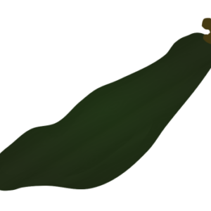 【FREE Vector】Sukuna Kabocha (Sukuna Pumpkin / Gourd-Shaped Squash) Illustration (Hida-Mino Traditional Vegetable / Japanese Premium Produce) (Commercial Use OK / PNG Transparent)