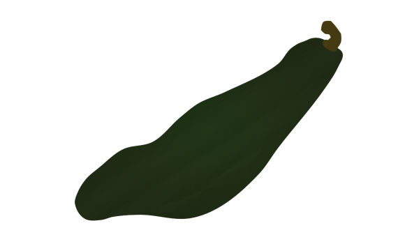 【フリー素材】宿儺（すくな）かぼちゃのイラスト（飛騨・美濃伝統野菜/細長かぼちゃ/高級南瓜）(商用利用可・透過PNG)