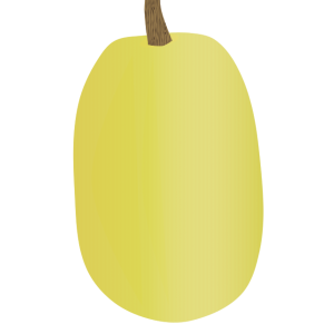 【FREE Vector】Spaghetti Squash / Somen Pumpkin Illustration (Yellow / Summer Vegetable / Unique Squash) (Commercial Use OK / PNG Transparent)