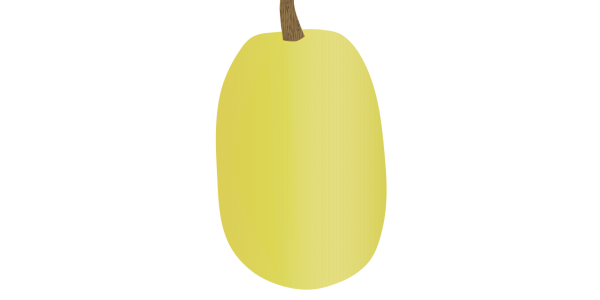 【フリー素材】金糸瓜/そうめんかぼちゃのイラスト（黄色/夏野菜/変わり野菜/麺状になる南瓜）(商用利用可・透過PNG)