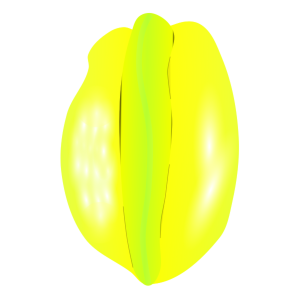 【FREE Vector】Star Fruit (Carambola) Illustration (Star-shaped Fruit / Tropical Fruit / Food Decoration / Food Education) (Commercial Use OK / PNG Transparent)