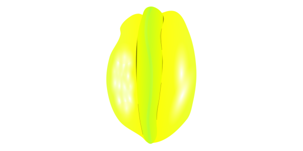 【フリー素材】星型の果物「スターフルーツ」のイラスト(熱帯果実/トロピカルフルーツ/飾り切り/食育)(商用利用可・透過PNG)