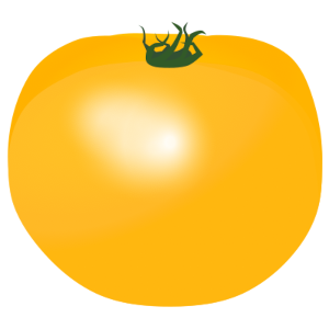 【FREE Vector】Yellow Beefsteak Tomato Illustration (Yellow Tomato / Salad / Colorful Vegetable) (Commercial Use OK / PNG Transparent)