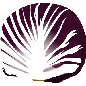 【FREE Vector】Treviso (Radicchio Rosso / Red Chicory) Illustration (Italian Vegetable / Salad Greens / PNG Transparent)