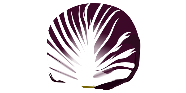 【フリー素材】トレビス（ラディッキオ/赤チコリ/丸いレタス）のイラスト（イタリア野菜/サラダ/透過PNG）