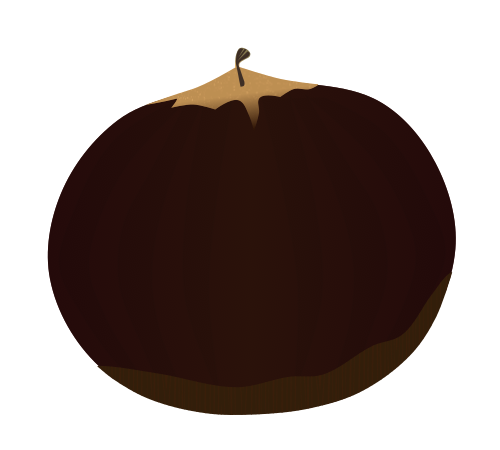 Rihei Chestnut illustration (No gloss or shading, PNG Transparent for simple autumn delicacy introduction and food guides)