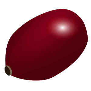 【FREE Vector】Cranberry Fruit Illustration (Superfood / Red Berry / Health Food / Food Education) (Commercial Use OK / PNG Transparent)