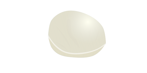 【FREE Vector】Ginkgo Nut (Ginnan / Ginkgo Seed) Illustration (Autumn Delicacy / Edible Nut / Cooking Ingredient) (Commercial Use OK / PNG Transparent)