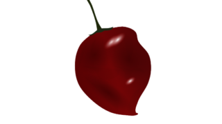【FREE Vector】Red Chili Pepper "Habanero" Illustration (Extreme Heat / Spice / Mexican Cuisine / Food Education) (Commercial Use OK / PNG Transparent)