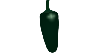 【FREE Vector】Green Chili Pepper "Jalapeño" Illustration (Mexican Cuisine / Spice / Food Education) (Commercial Use OK / PNG Transparent)