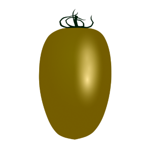 【FREE Vector】Yellow Plum Mini Tomato "Yellow Aiko" Illustration (Three Styles / Sweet Tomato / Cooking) (Commercial Use OK / PNG Transparent)