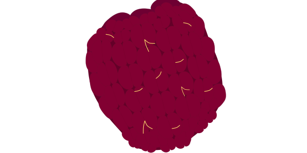 【FREE Vector】Raspberry Fruit Illustration (Red Aggregate Fruit / Dessert Topping / Food Education) (Commercial Use OK / PNG Transparent)
