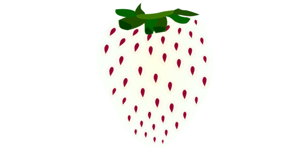 【FREE Vector】White Strawberry Fruit Illustration (Premium Variety / Rare Fruit / Food Education) (Commercial Use OK / PNG Transparent)