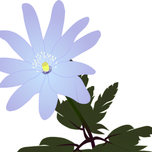 【FREE Vector】Kikuzaki-Ichige (Anemone Pseudoaltaica) Illustration (Spring Ephemeral / Wildflower / Blue-Purple Flower) (Commercial Use OK / PNG Transparent)