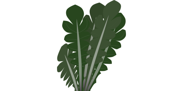 【フリー素材】ナズナ（ペンペン草）のイラスト（春の七草/ロゼット/野草/食育）(商用利用可・透過PNG)