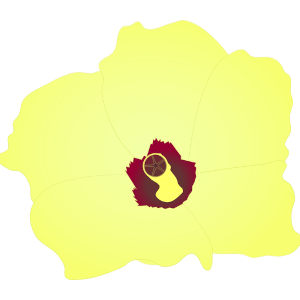 【FREE Vector】Okra Flower Illustration (Yellow Blossom / Summer Vegetable / One-Day Flower / Structure Diagram) (Commercial Use OK / PNG Transparent)