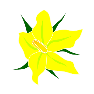 【FREE Vector】Tomato Flower Illustration (Yellow Flower / Vegetable / Home Gardening / Structure Diagram) (Commercial Use OK / PNG Transparent)