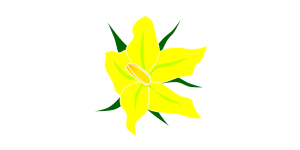 【FREE Vector】Tomato Flower Illustration (Yellow Flower / Vegetable / Home Gardening / Structure Diagram) (Commercial Use OK / PNG Transparent)