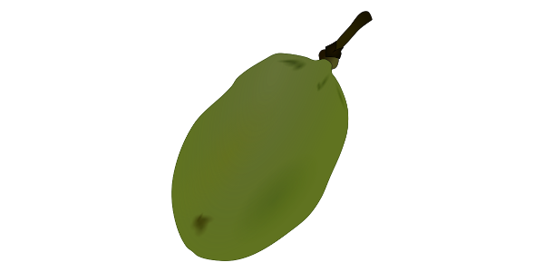 【FREE Vector】Pawpaw Fruit Illustration (Custard Apple / North American Native / Exotic Fruit) (Commercial Use OK / PNG Transparent)