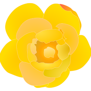 ロウバイの花のイラスト
