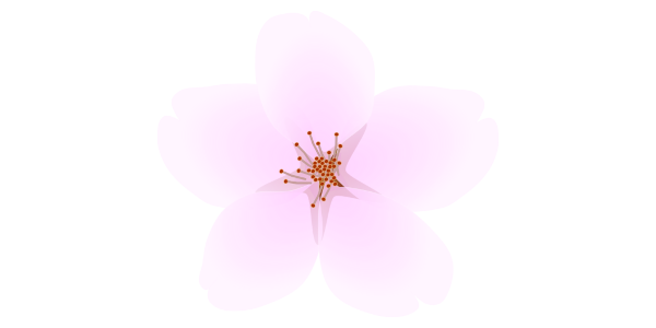 【FREE Vector】Cherry Blossom (Sakura) Illustration (Pale Pink / Branch & Single Flower / Spring Japanese Design) (Commercial Use OK / PNG Transparent)