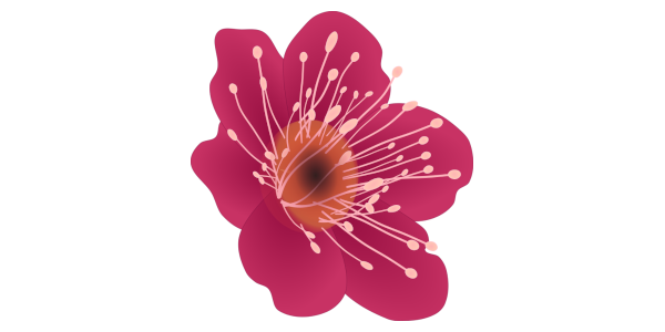 【FREE Vector】Red and Pink Plum Blossom (Ume) Illustration (Branch & Single Flower / Early Spring Japanese Style) (Commercial Use OK / PNG Transparent)