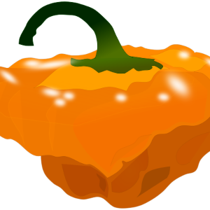 【FREE Vector】Scotch Bonnet Pepper Illustration (Orange / Super Hot Chili / Outline & No Outline) (Commercial Use OK / PNG Transparent)