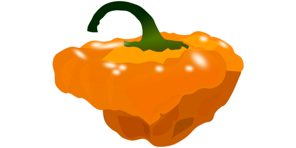 オレンジ色のスコッチボネットのイラスト【フリー素材】スコッチボネットのイラスト（オレンジ色/激辛唐辛子/線あり・なし）(商用利用可・透過PNG)オレンジ色のスコッチボネットのイラスト