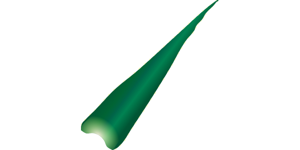 【フリー素材】アロエベラの葉のイラスト（美容・健康食品）(商用利用可・透過PNG)