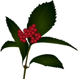 【FREE Vector】Sarcandra glabra Illustration (Senryo / Japanese New Year Decoration) (Commercial Use OK / PNG Transparent)