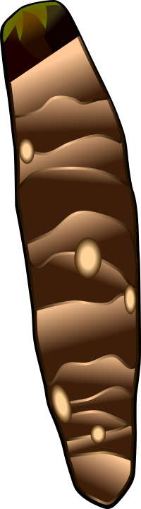 タケノコ芋(京芋)のイラスト(黒い縁取りあり・野菜図鑑や食育資料用透過PNG)