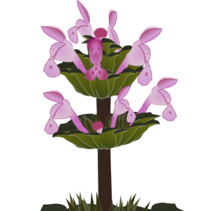 【FREE Vector】Henbit Dead-nettle Illustration (Hotokenoza / Flower Parts) (Commercial Use OK / PNG Transparent)