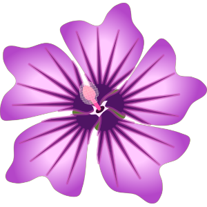 【フリー素材】コモンマロウ（ウスベニアオイ）のイラスト（全体・花・葉/ハーブ）(商用利用可・透過PNG)