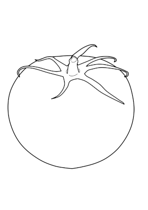 coloring page of tomato