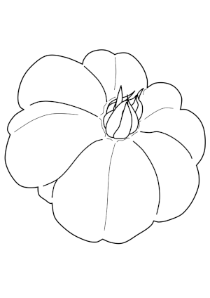 coloring page of tomato