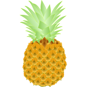 【FREE Vector】Pineapple Fruit Illustration (Tropical Fruit / Outline & No Outline) (Commercial Use OK / PNG Transparent)