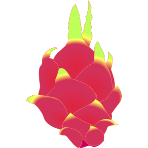 【FREE Vector】Dragon Fruit (Pitaya) Illustration (Whole & Sliced / Tropical Fruit) (Commercial Use OK / PNG Transparent)