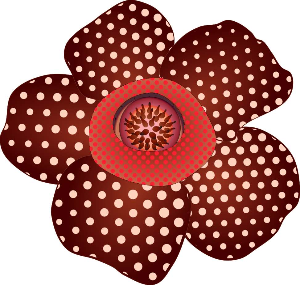 Rafflesia, the world's largest flower, whole illustration material (No line, Free material for ecological study and botanical garden POPs)