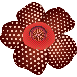 【FREE Vector】Rafflesia Flower Illustration (World's Largest Flower) (Commercial Use OK / PNG Transparent)