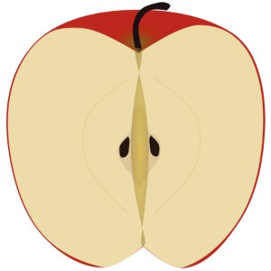 【FREE Vector】Apple Cross-Section Illustration (Red Apple / Seed & Pulp Diagram) (Commercial Use OK / PNG Transparent)