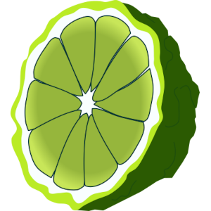 【FREE Vector】Bergamot Citrus Cross-Section Illustration (Sliced, with and without Outline) (Commercial Use OK / PNG Transparent)