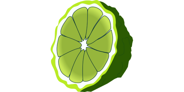 【フリー素材】ベルガモットの断面のイラスト（輪切り・線あり・なし）(商用利用可・透過PNG)