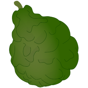 【FREE Vector】Bergamot Citrus Illustration (Earl Grey Scent / Aromatherapy) (Commercial Use OK / PNG Transparent)