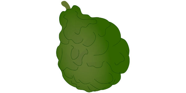 【フリー素材】ベルガモットのイラスト（アールグレイの香り・アロマ）(商用利用可・透過PNG)