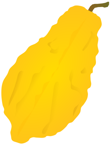 黄色いシトロンの全体イラスト素材(線なし・フルーツケーキやピールレシピ用フリー素材)